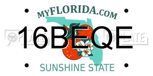 16BEQE Florida License Plate
