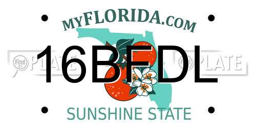 16BFDL Florida License Plate