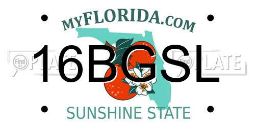 16BGSL Florida License Plate