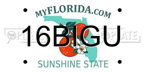 16BIGU Florida License Plate