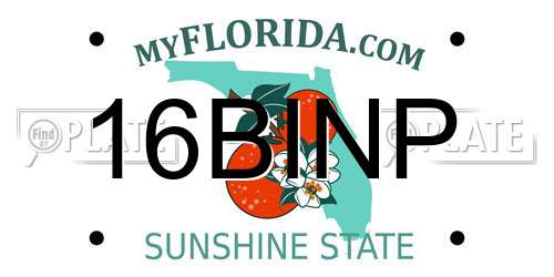 16BINP Florida License Plate