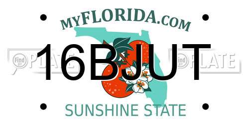 16BJUT Florida License Plate