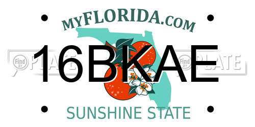 16BKAE Florida License Plate