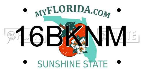 16BKNM Florida License Plate