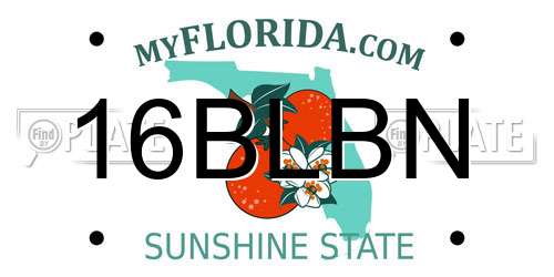 16BLBN Florida License Plate
