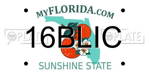16BLIC Florida License Plate