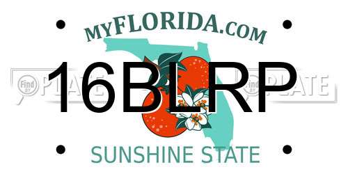 16BLRP Florida License Plate