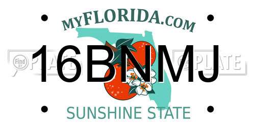 16BNMJ Florida License Plate