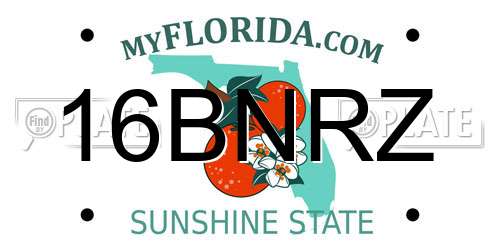 16BNRZ Florida License Plate