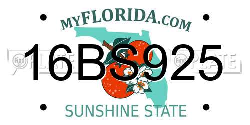 16BS925 Florida License Plate