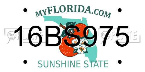 16BS975 Florida License Plate