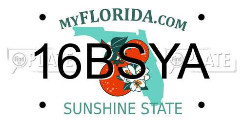 16BSYA Florida License Plate