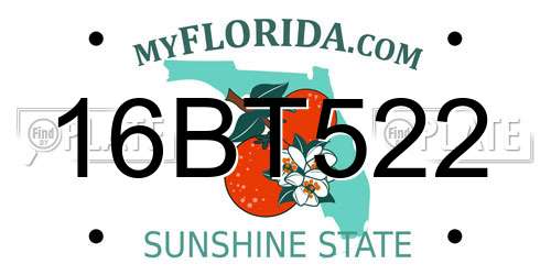 16BT522 Florida License Plate