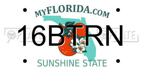 16BTRN Florida License Plate