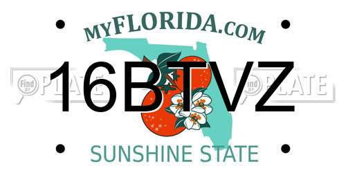 16BTVZ Florida License Plate