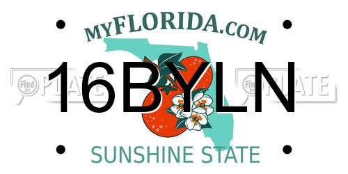 16BYLN Florida License Plate