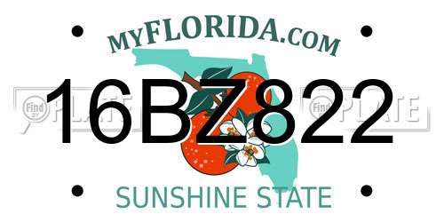 16BZ822 Florida License Plate