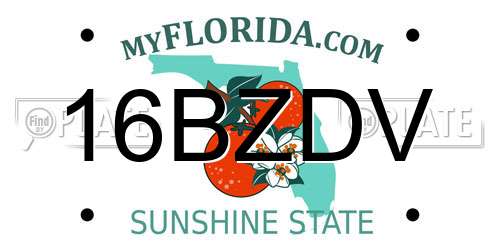 16BZDV Florida License Plate