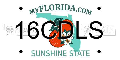 16CDLS Florida License Plate