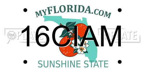 16CIAM Florida License Plate