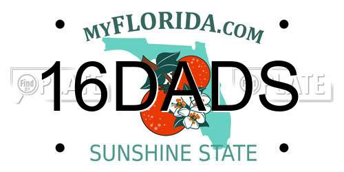 16DADS Florida License Plate