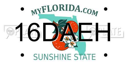 16DAEH Florida License Plate