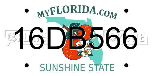 16DB566 Florida License Plate