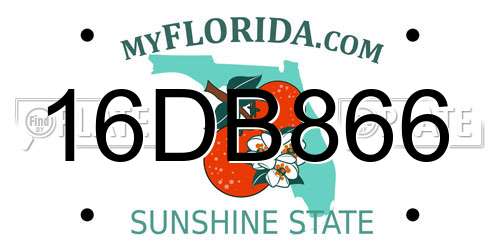 16DB866 Florida License Plate