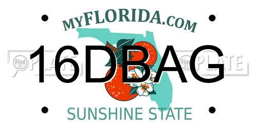 16DBAG Florida License Plate