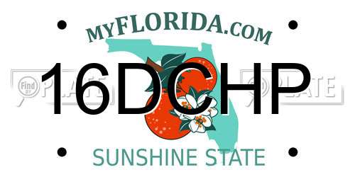 16DCHP Florida License Plate