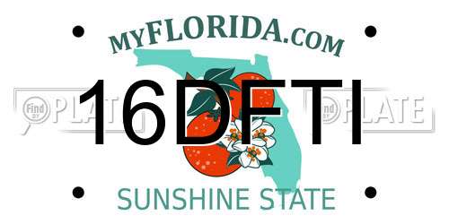 16DFTI Florida License Plate