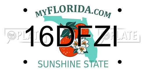 16DFZI Florida License Plate