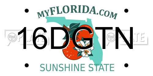 16DGTN Florida License Plate