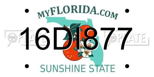 16DI877 Florida License Plate