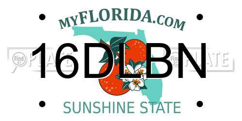 16DLBN Florida License Plate