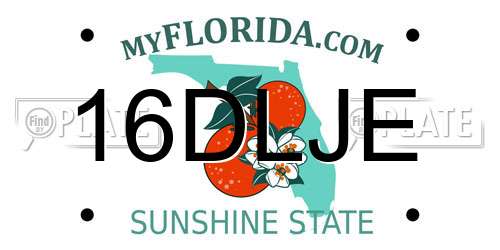 16DLJE Florida License Plate