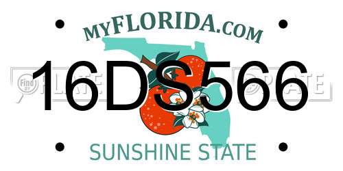 16DS566 Florida License Plate