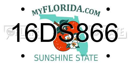 16DS866 Florida License Plate