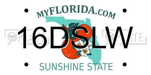 16DSLW Florida License Plate