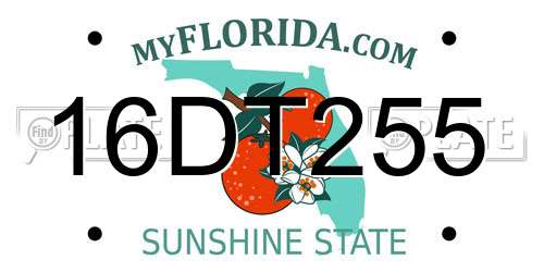 16DT255 Florida License Plate