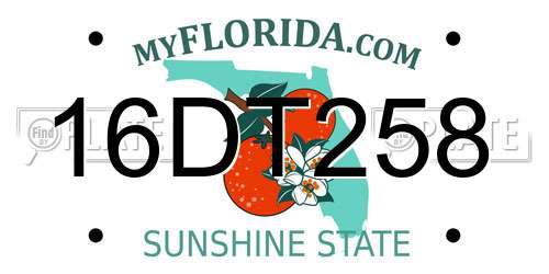 16DT258 Florida License Plate