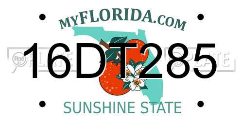 16DT285 Florida License Plate