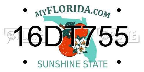 16DT755 Florida License Plate