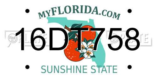 16DT758 Florida License Plate