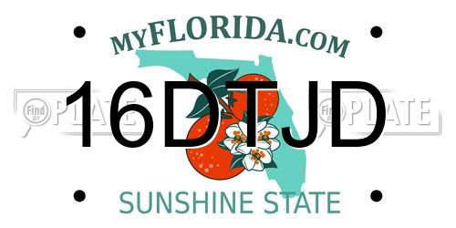 16DTJD Florida License Plate