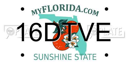 16DTVE Florida License Plate