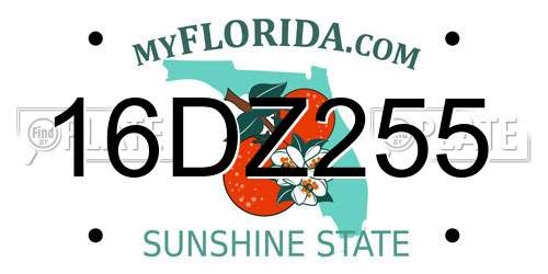 16DZ255 Florida License Plate
