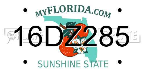 16DZ285 Florida License Plate