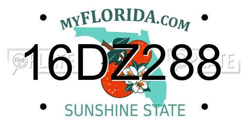 16DZ288 Florida License Plate