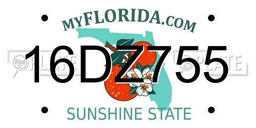 16DZ755 Florida License Plate